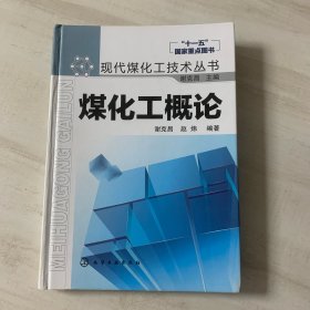 现代煤化工技术丛书：煤化工概论