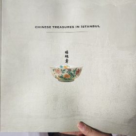 CHINESE TREASURES IN iSTANBUL