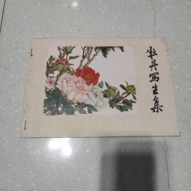 牡丹写生集