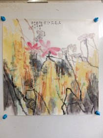 周华君，水墨手绘荷花一副，旧托，尺寸68x68厘米