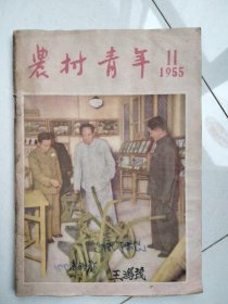 农村青年<1955年11期>