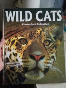 WILD CATS PHOTO-FACT COLLECTION【精装绘本】