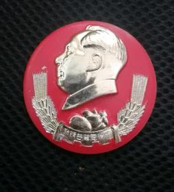颗颗芒果恩情深湖南省湘潭市工代会第一次全会纪念像章