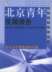 北京青年发展报告—北京青年指数2004年版