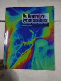 呼吸疾病一览 The Respiratory at a Glance