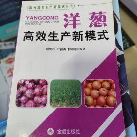 南方蔬菜生产新模式丛书：洋葱高效生产新模式