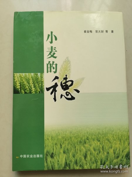 小麦的穗