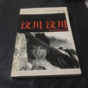 汶川·汶川：四川大地震纪实