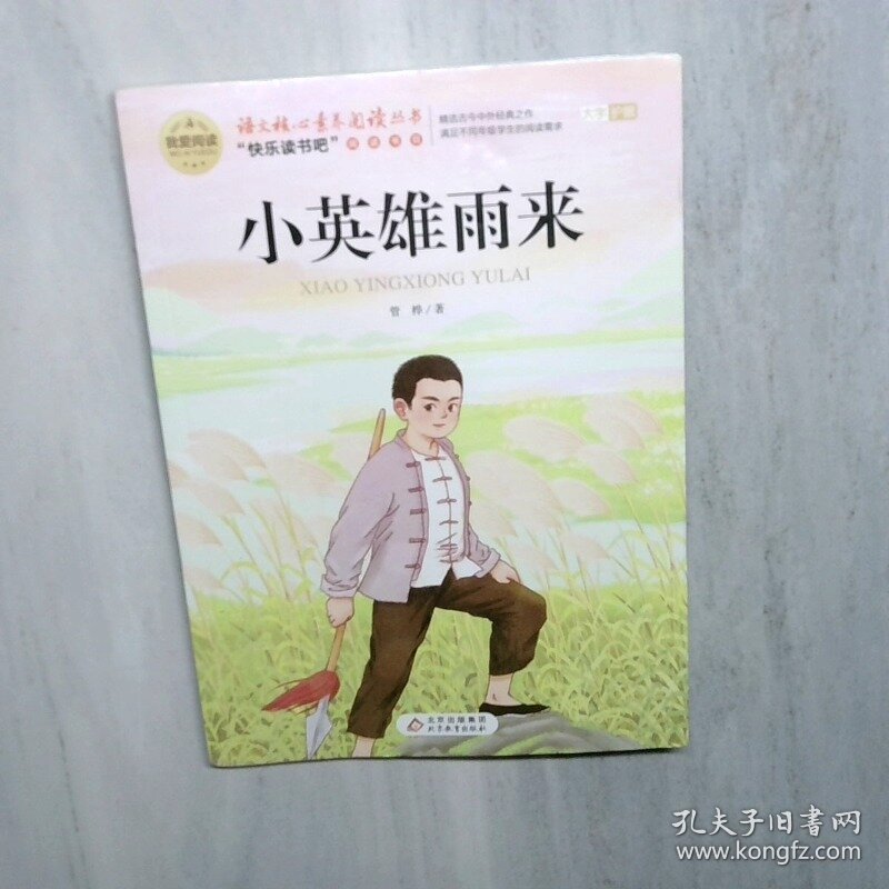 点击查看原图 小英雄雨来