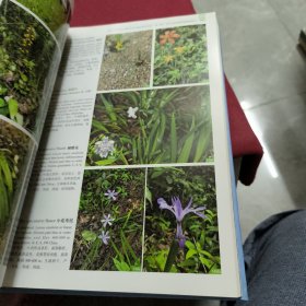 中国井冈山地区原色植物图谱