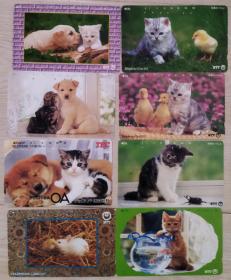 日本电话卡～动物专题--动物间～友爱(猫与兔子，小鸡，狗，鸭子，楸甲虫，金鱼)（过期废卡，收藏用）