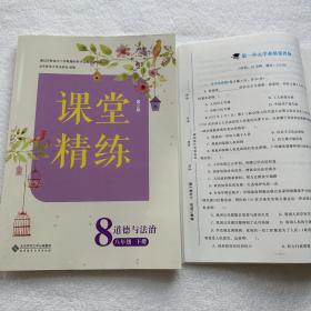 2023课堂精练道德与法治8/八年级下册+质量评价卷（活页）及答案