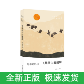 飞越群山的翅膀