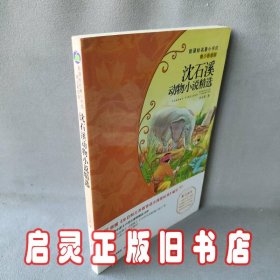 沈石溪动物小说精选