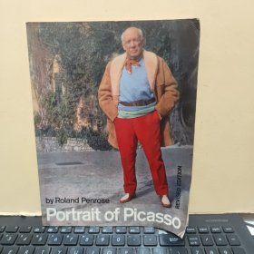 portrait of picasso by roland penrose(罗兰·彭罗斯 毕加索肖像（16开本，详细参照书影）