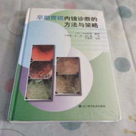 早期胃癌内镜诊断的方法与策略9787538197815