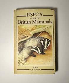 British Mammals 英国哺乳动物