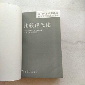 比较现代化:当代学术思潮译丛 世界现代化进程译丛