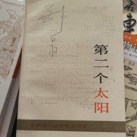 第二个太阳：荣获第三届茅盾文学奖获奖作品