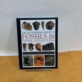 The Illustrated Guide to Fossils & Fossil Collecting 化石和化石收集图解指南