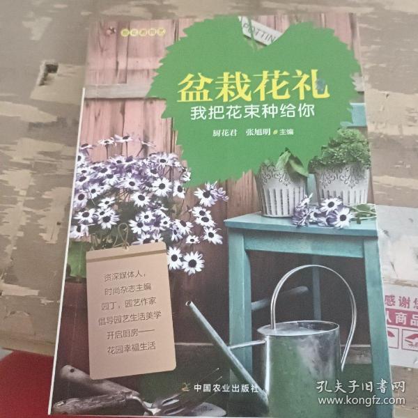 盆栽花礼 我把花束种给你