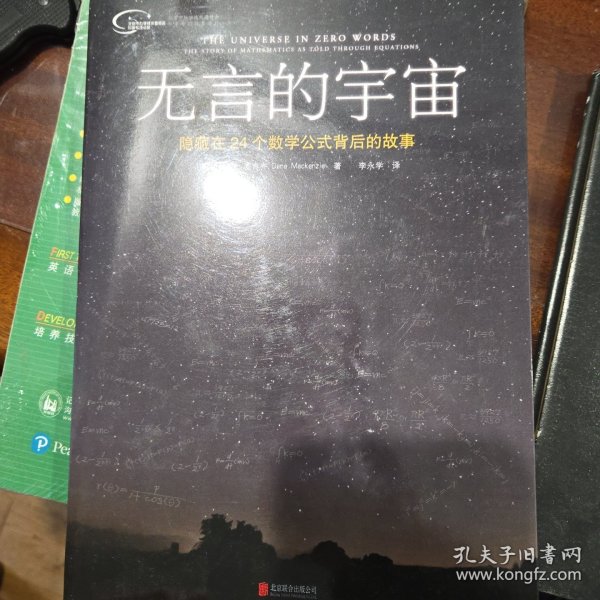 无言的宇宙：隐藏在24个数学公式背后的故事