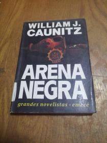 ARENA NEGRA