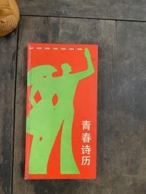 青春诗历