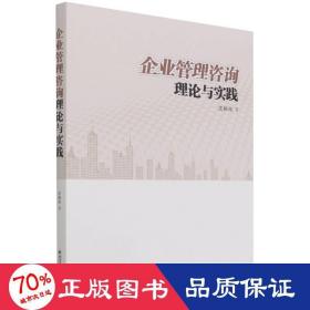 企业管理咨询理论与实践 管理理论 沈柏亮