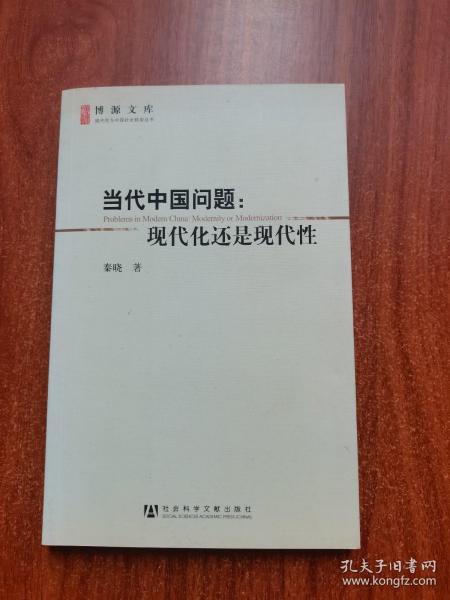 当代中国问题：现代化还是现代性