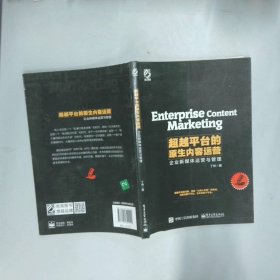 超越平台的原生内容运营企业新媒体运营与管理  丁林 电子工业出版社