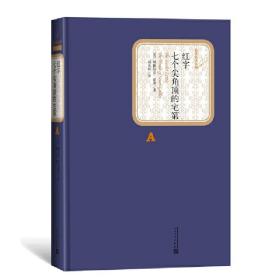 红字   七个尖角顶的宅第（名著名译丛书 人民文学出版社）