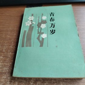 青春万岁