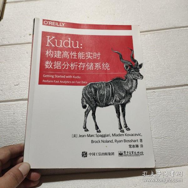 Kudu：构建高性能实时数据分析存储系统(博文视点出品)