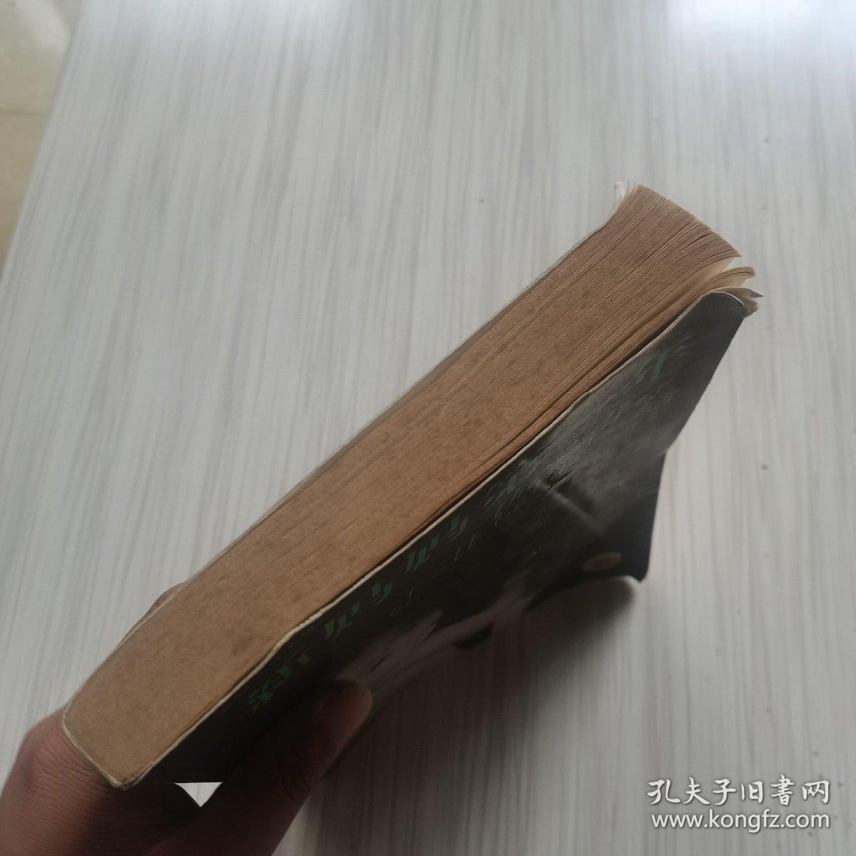 新妈妈第一年:引导母亲走过孩子生命第一年的优秀指南