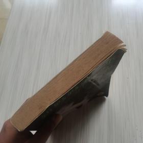 新妈妈第一年:引导母亲走过孩子生命第一年的优秀指南