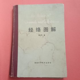 经络图解