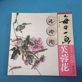 每日一画中国画技法芙蓉花