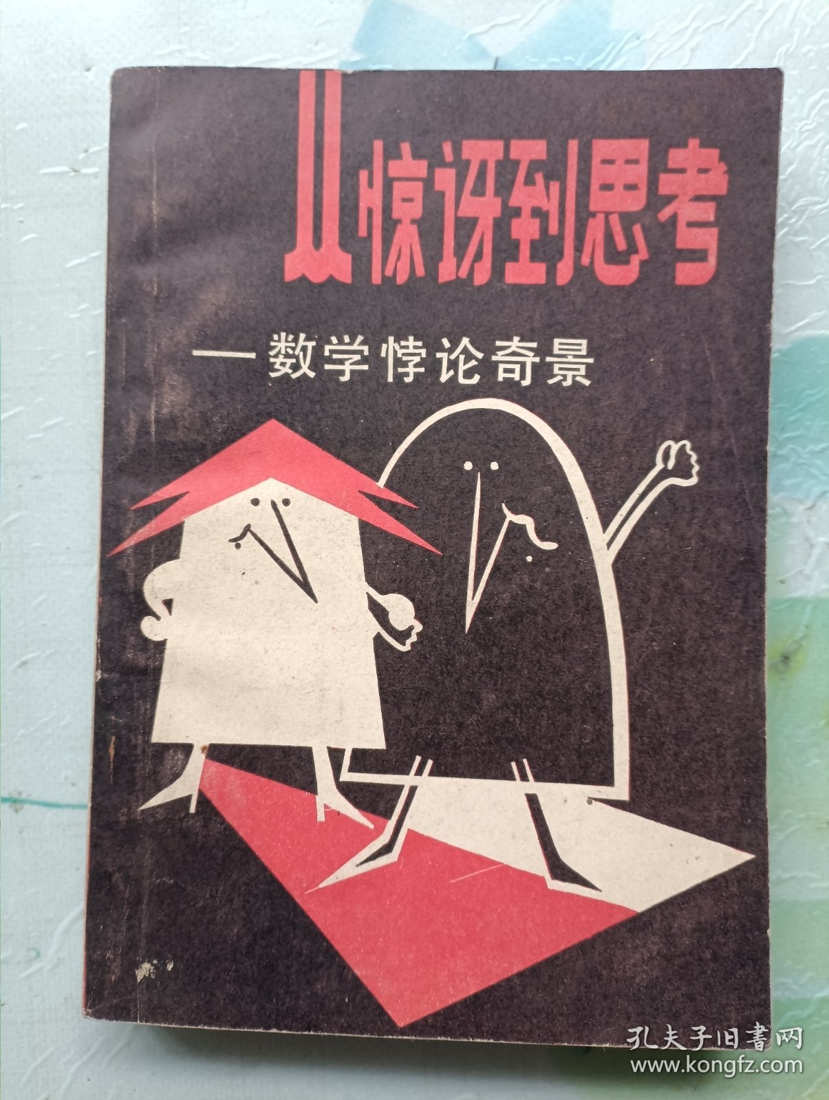 从惊讶到思考 数学悖论奇景