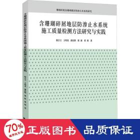 含珊瑚碎屑地层防渗止水系统施工质量检测方法研究与实践