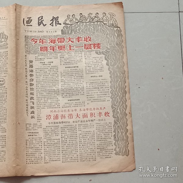 老报纸渔民报1960年8月惠安萧厝海带场丰收惠安飞跃公社前垵大队完成备汛福鼎沙埕公社组织“娘子军”加速备汛同安琼江民兵营长 林红毛技术革新惠安县飞跃公社崇武民兵团“七一”曾举行了一次检阅大会东山海上收购船