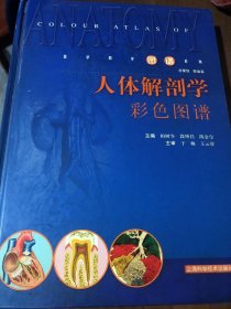 人体解剖学彩色图谱——医学教学图谱系列