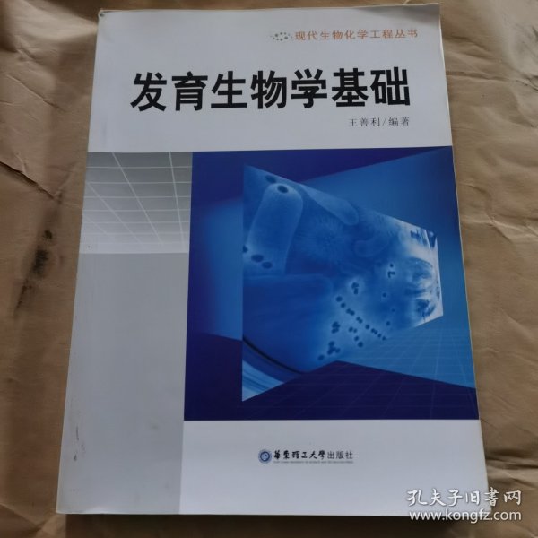 现代生物化学工程丛书：发育生物学基础