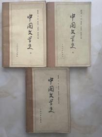 中国文学史（三册）