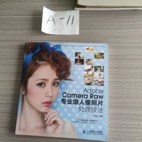 adobe camera raw 專業(yè)級人像照片處理技法