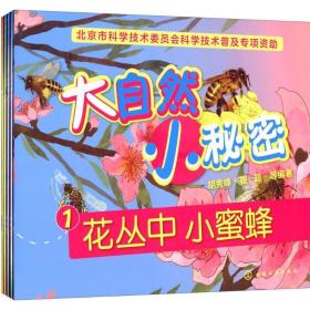 大自然 小秘密 儿童文学 胡秀峰 等 编著 新华正版