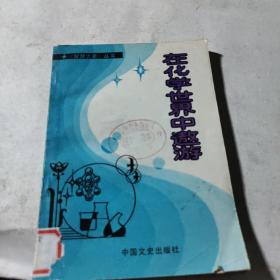 在化学世界中遨游（《智慧之星》丛书）