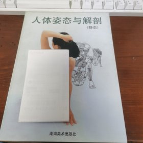 人体姿态与解剖 静态