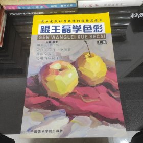 跟王磊学色彩