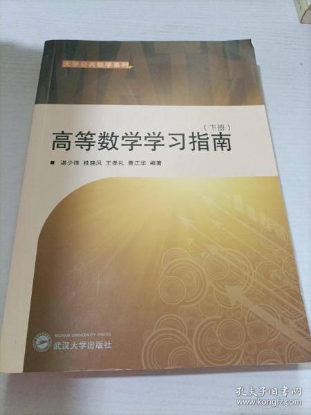 大学公共数学系列：高等数学学习指南（下册）